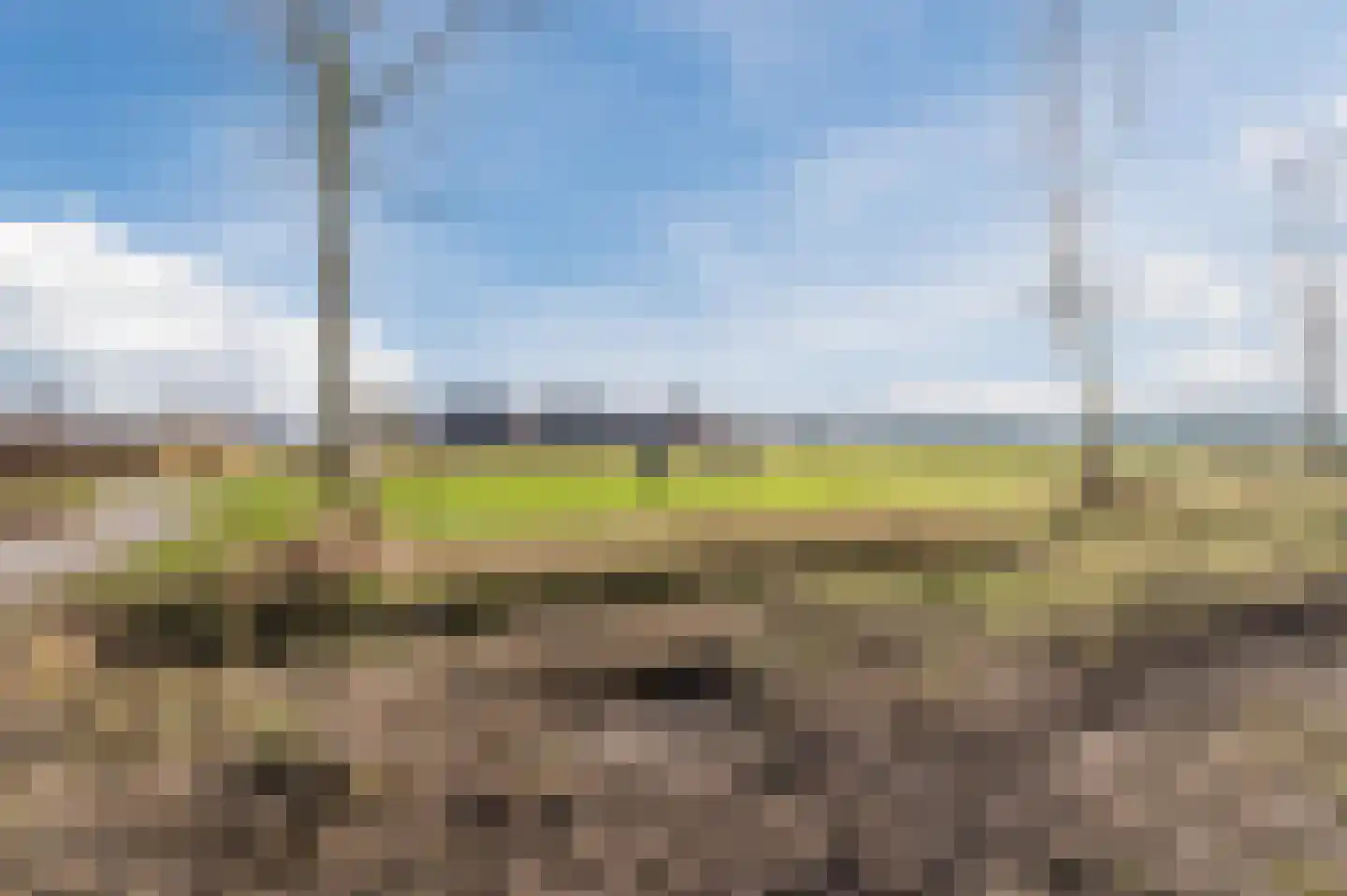 Herenakker 50 Veghel thumbnail 77