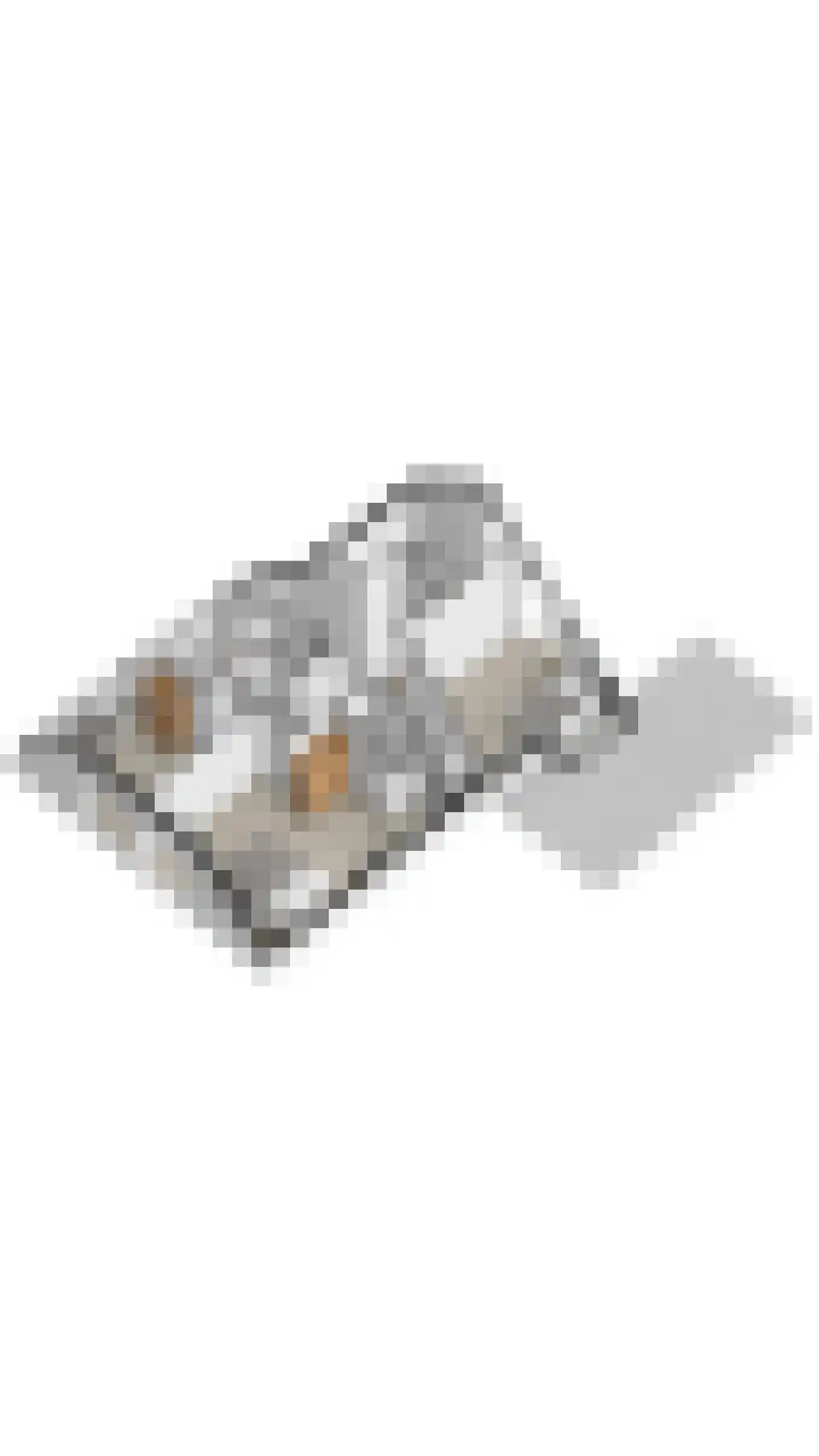 Herenakker 50 Veghel thumbnail 84