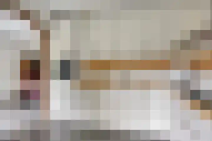 Herendaal 1 Maastricht thumbnail 14