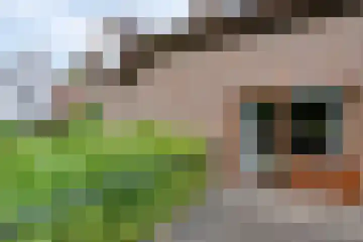 Herendaal 1 Maastricht thumbnail 20