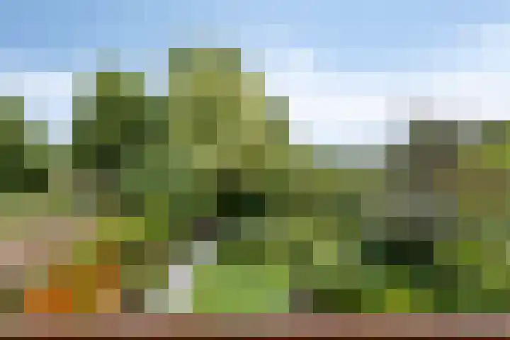 Herendaal 1 Maastricht thumbnail 29