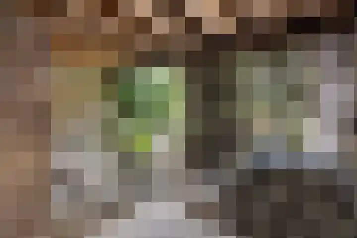 Herendaal 1 Maastricht thumbnail 36