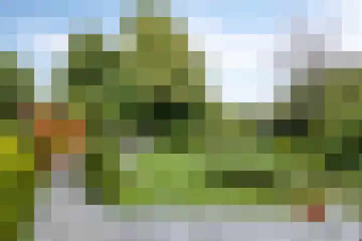 Herendaal 1 Maastricht thumbnail 37