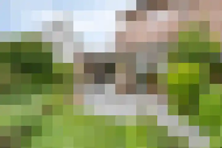 Herendaal 1 Maastricht thumbnail 38