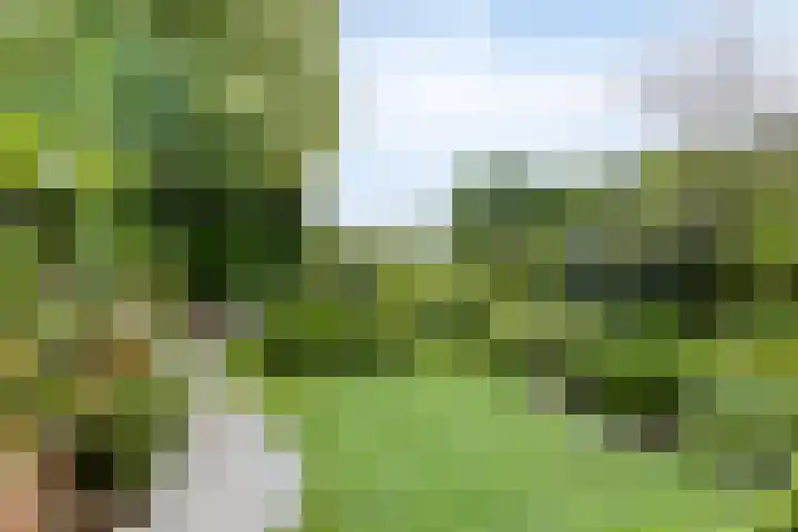 Herendaal 1 Maastricht thumbnail 40