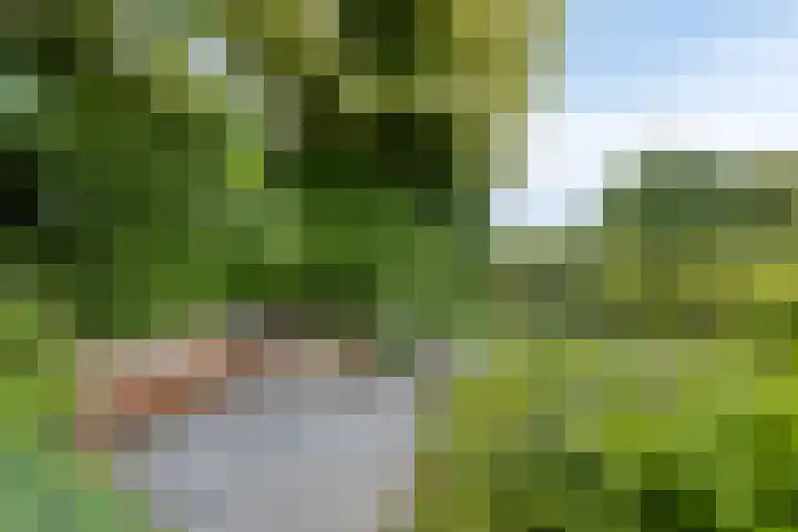 Herendaal 1 Maastricht thumbnail 42