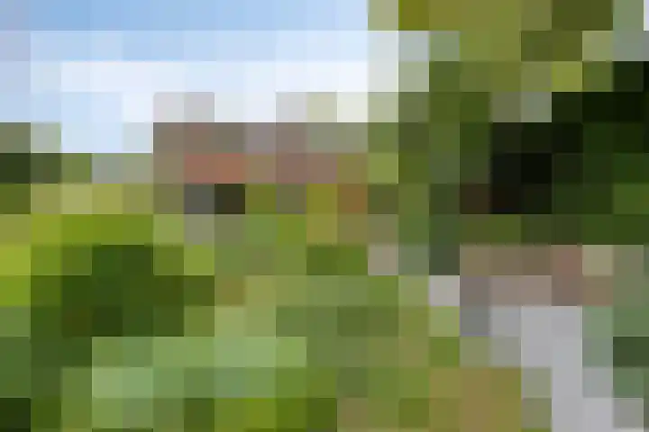 Herendaal 1 Maastricht thumbnail 43