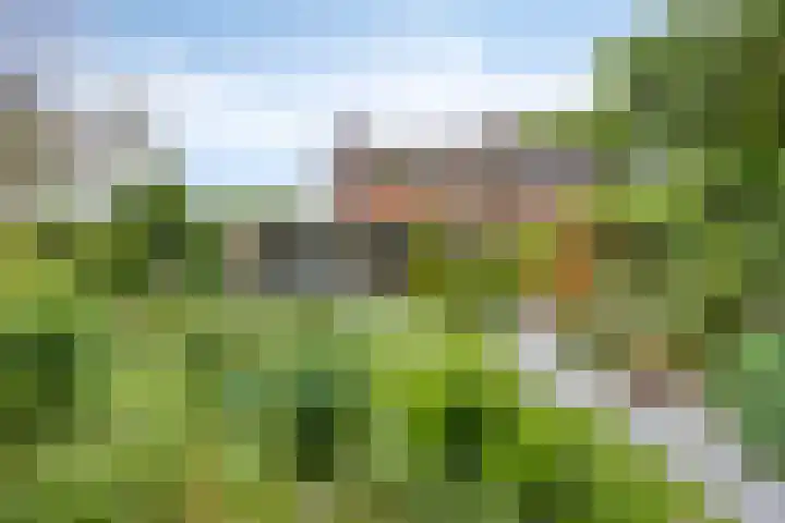 Herendaal 1 Maastricht thumbnail 44