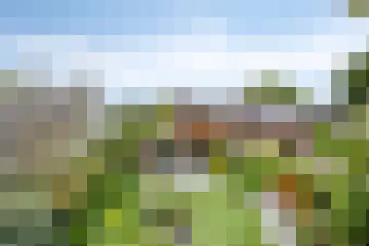 Herendaal 1 Maastricht thumbnail 45