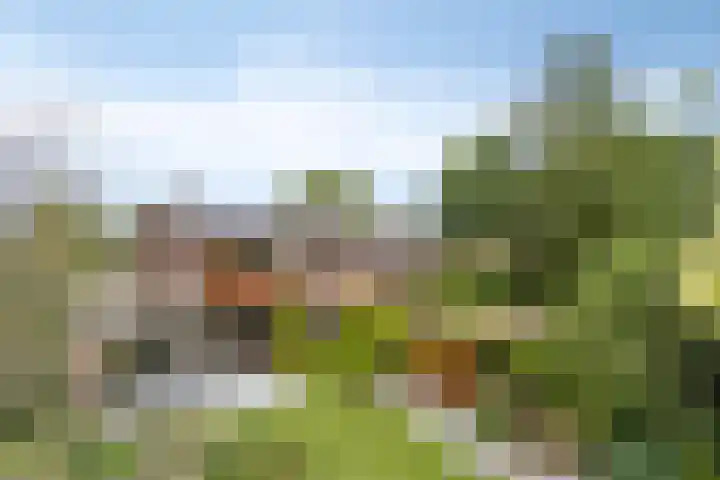 Herendaal 1 Maastricht thumbnail 46