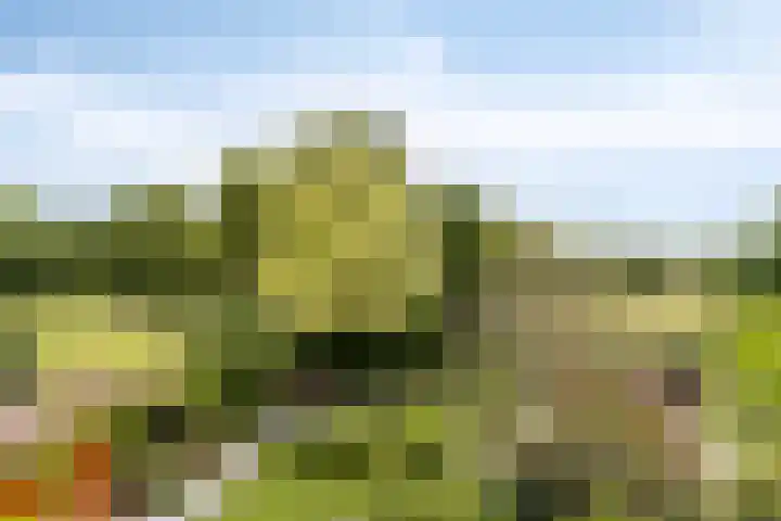 Herendaal 1 Maastricht thumbnail 47