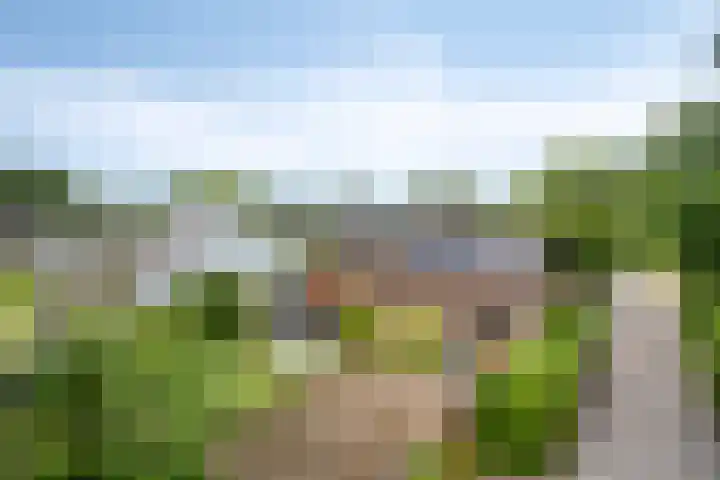 Herendaal 1 Maastricht thumbnail 48