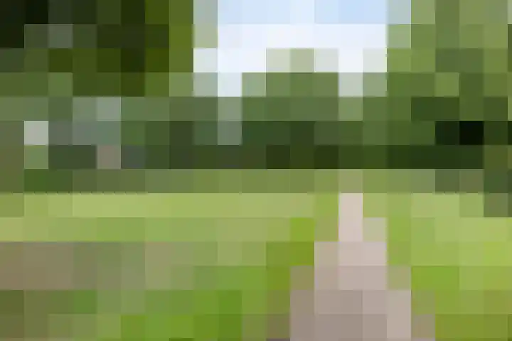 Herendaal 1 Maastricht thumbnail 50