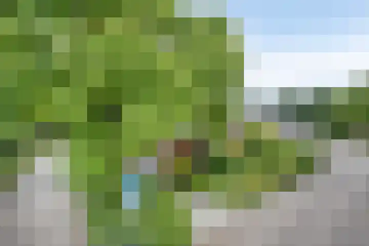 Herendaal 1 Maastricht thumbnail 52