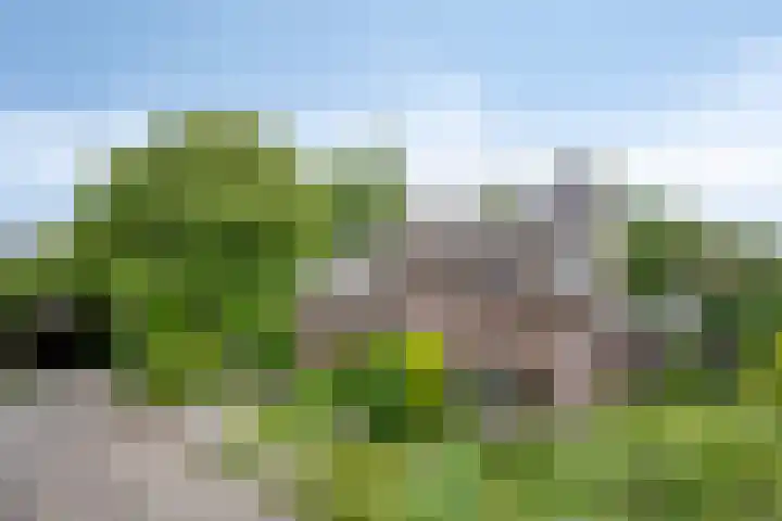 Herendaal 1 Maastricht thumbnail 55