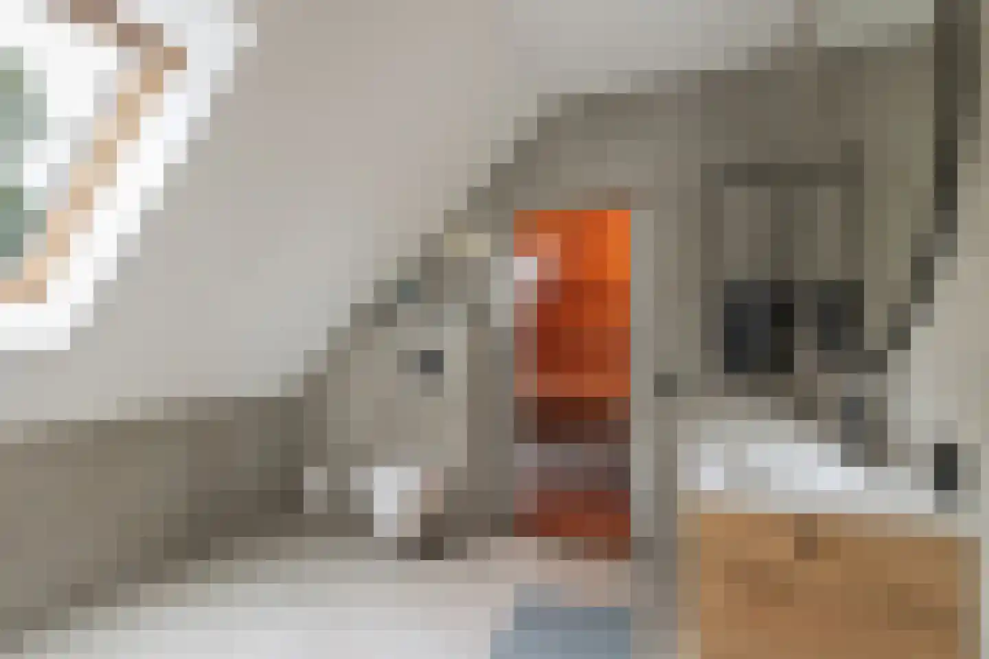 Herendijk 4 Nieuw-Amsterdam thumbnail 32