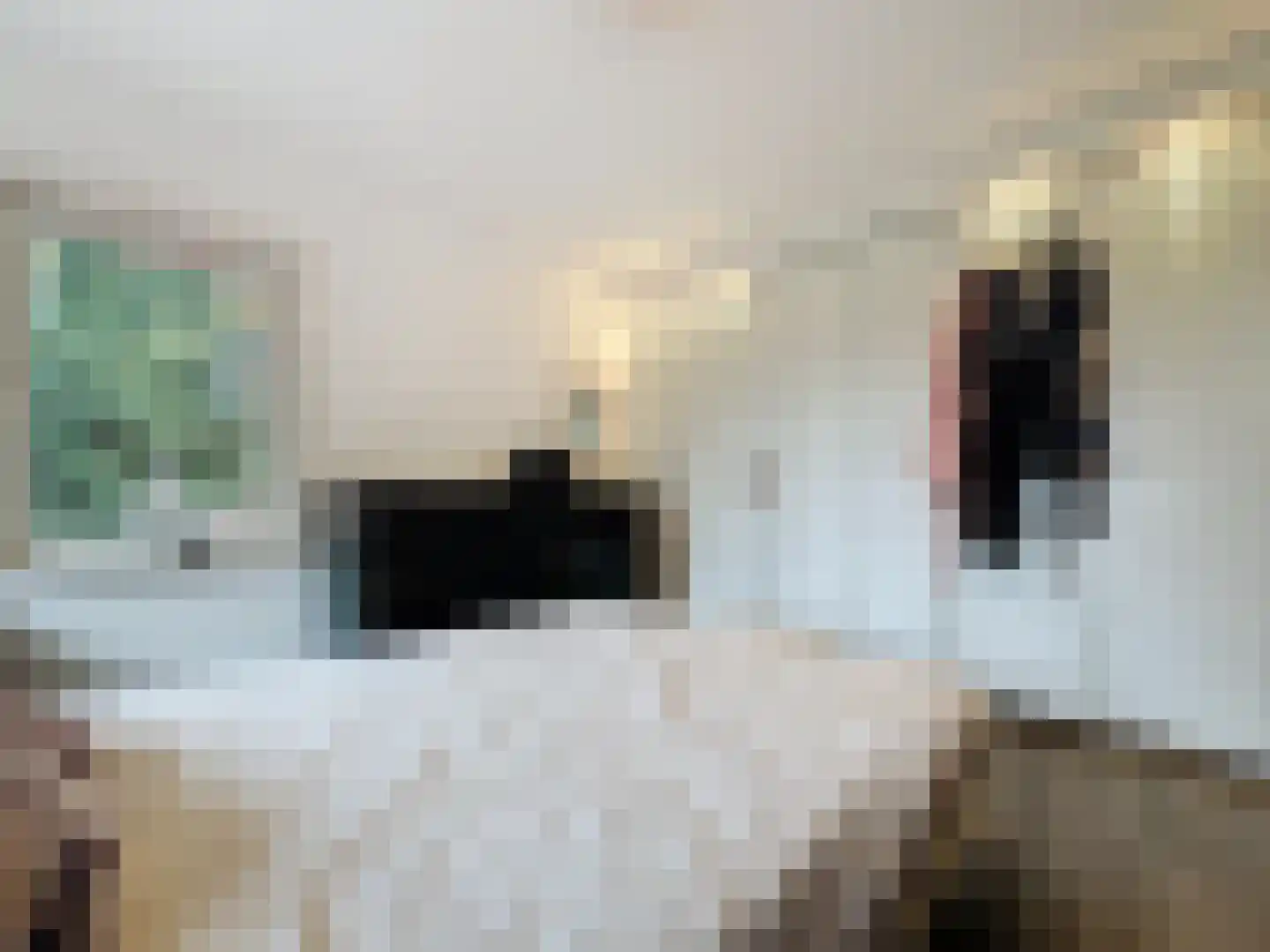 Herendreef 45 Aardenburg thumbnail 17