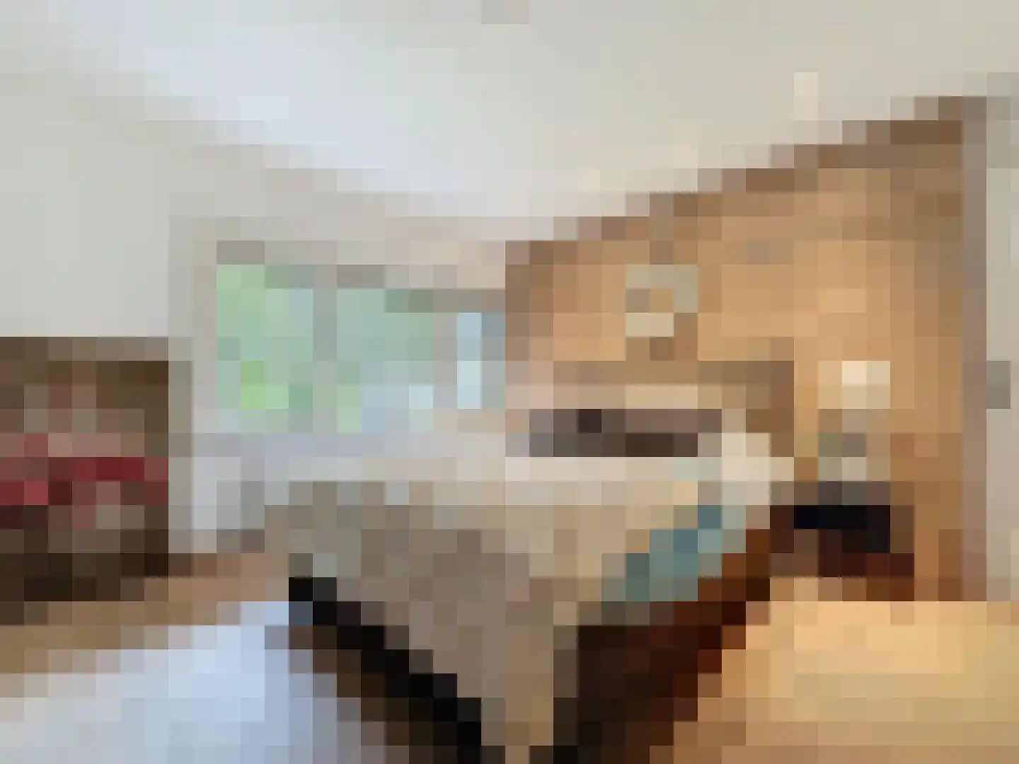 Herendreef 45 Aardenburg thumbnail 18