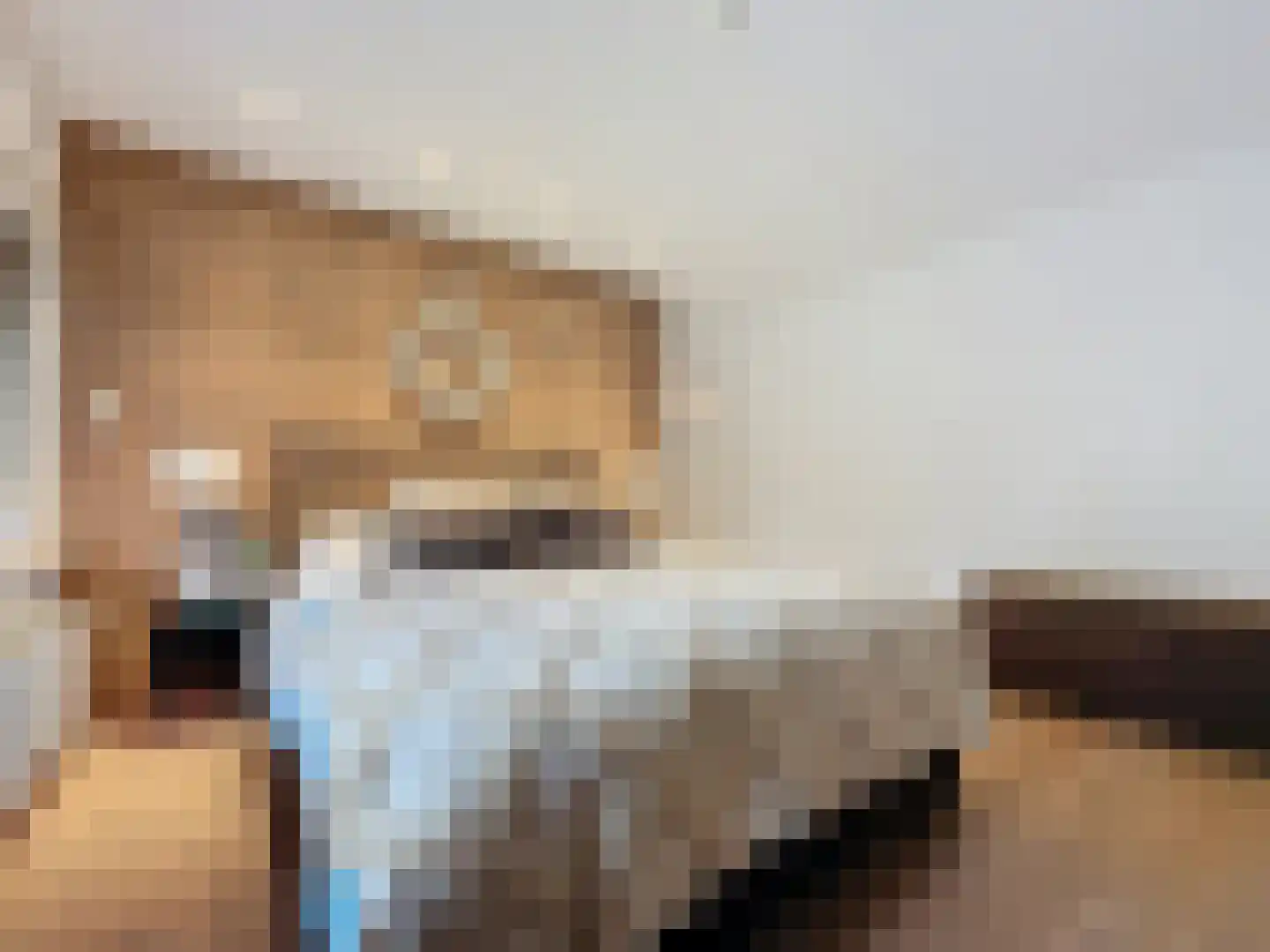 Herendreef 45 Aardenburg thumbnail 19