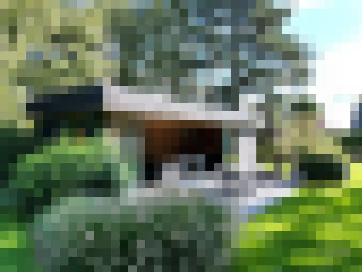 Herendreef 45 Aardenburg thumbnail 28