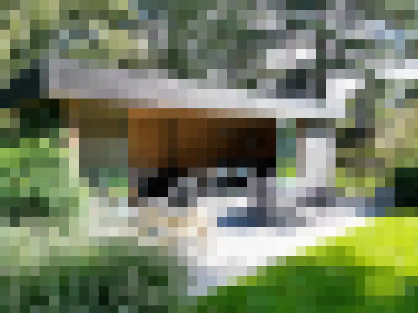 Herendreef 45 Aardenburg thumbnail 29