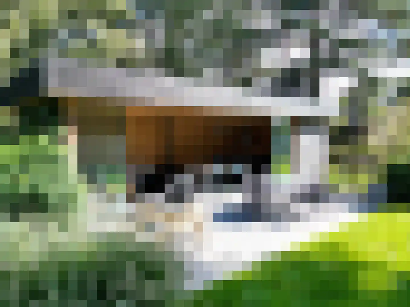 Herendreef 45 Aardenburg thumbnail 29