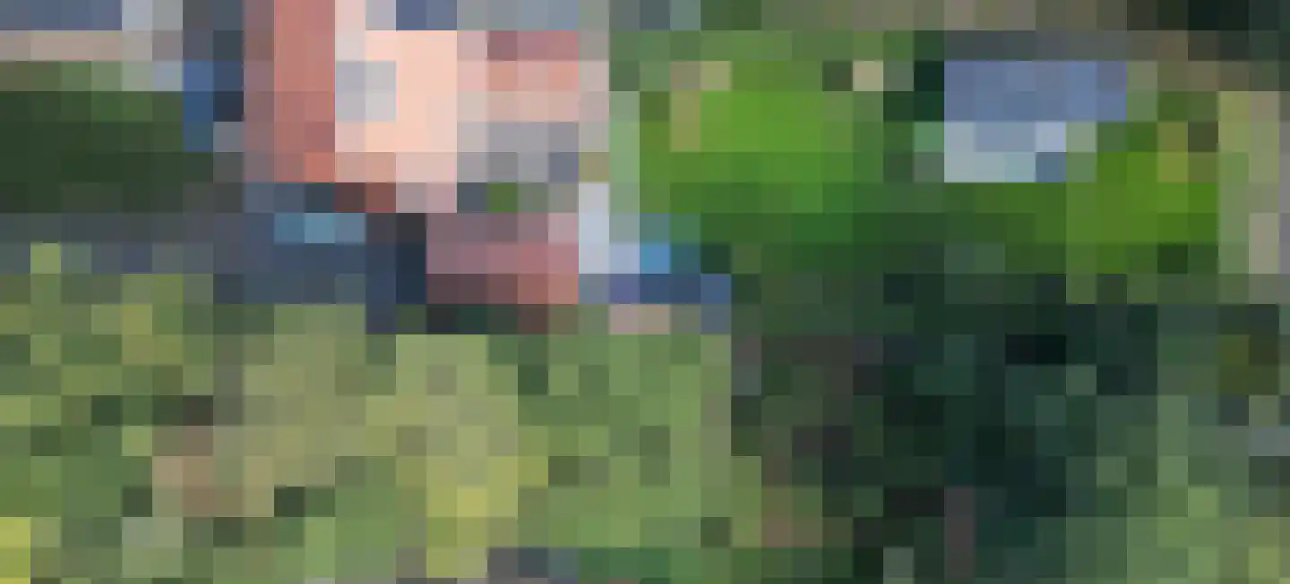 Herendreef 45 Aardenburg thumbnail 33
