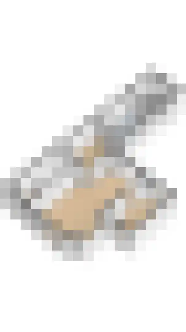 Herendreef 45 Aardenburg thumbnail 37