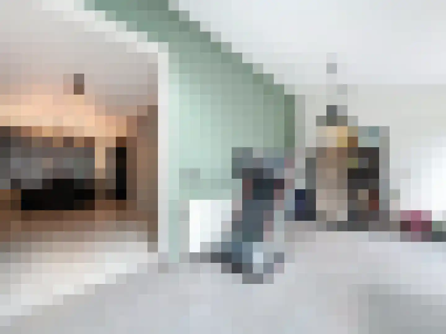 Herendreef 7 Aardenburg thumbnail 31