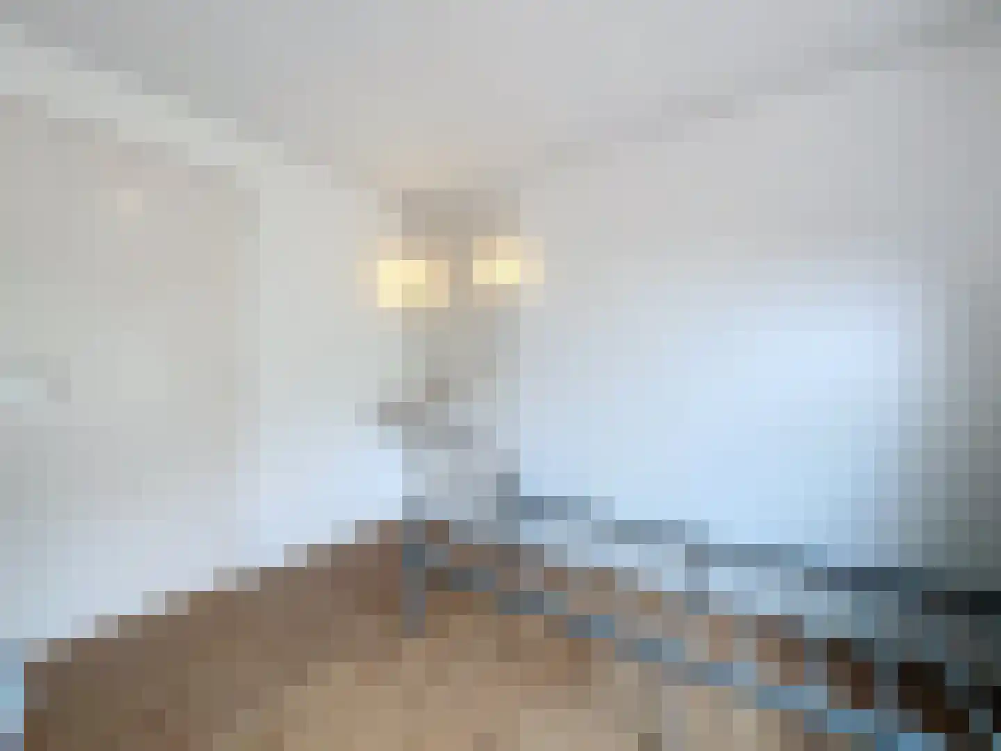 Herendreef 7 Aardenburg thumbnail 57