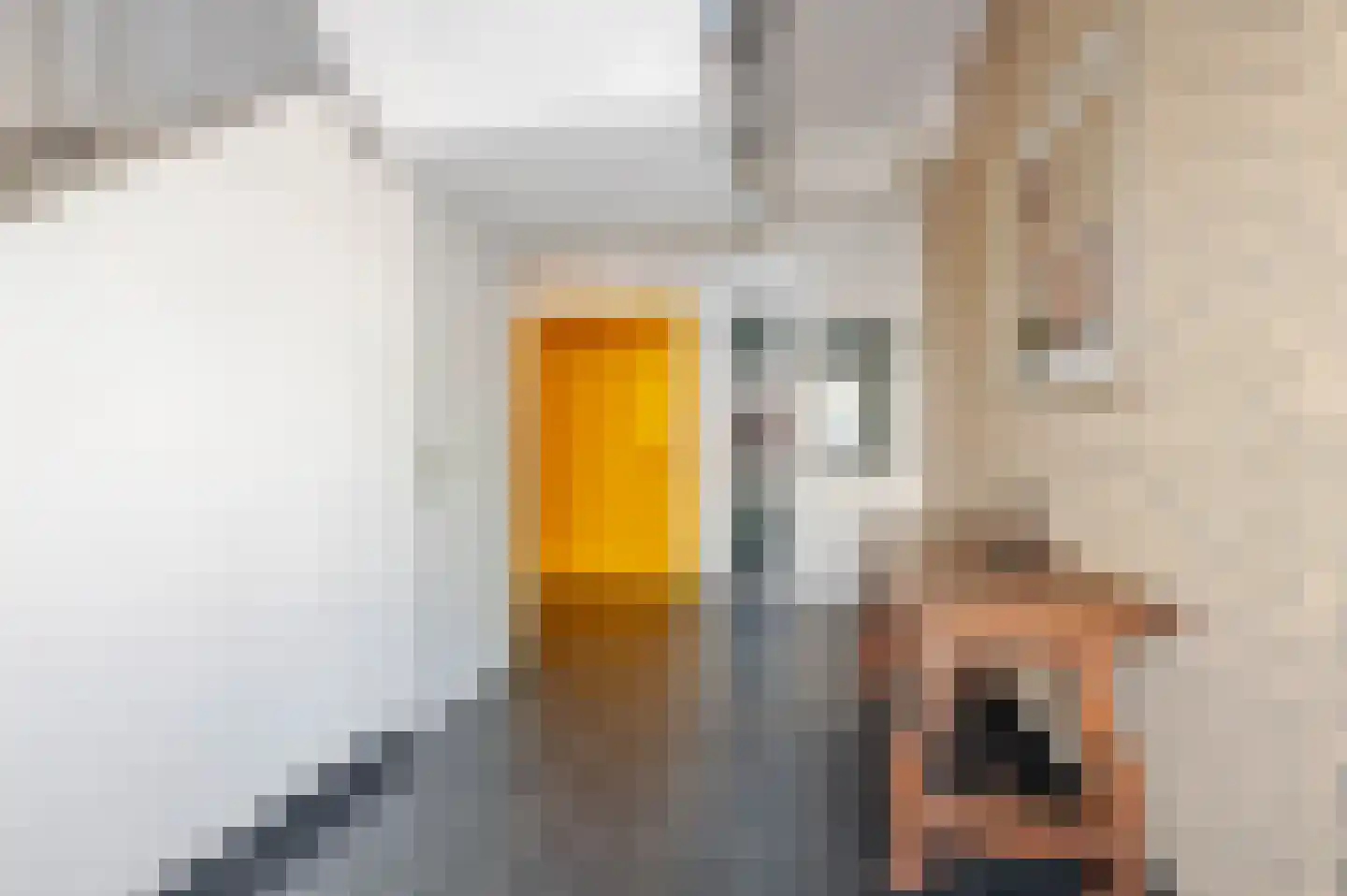 Herengracht 1 F Den Haag thumbnail 46