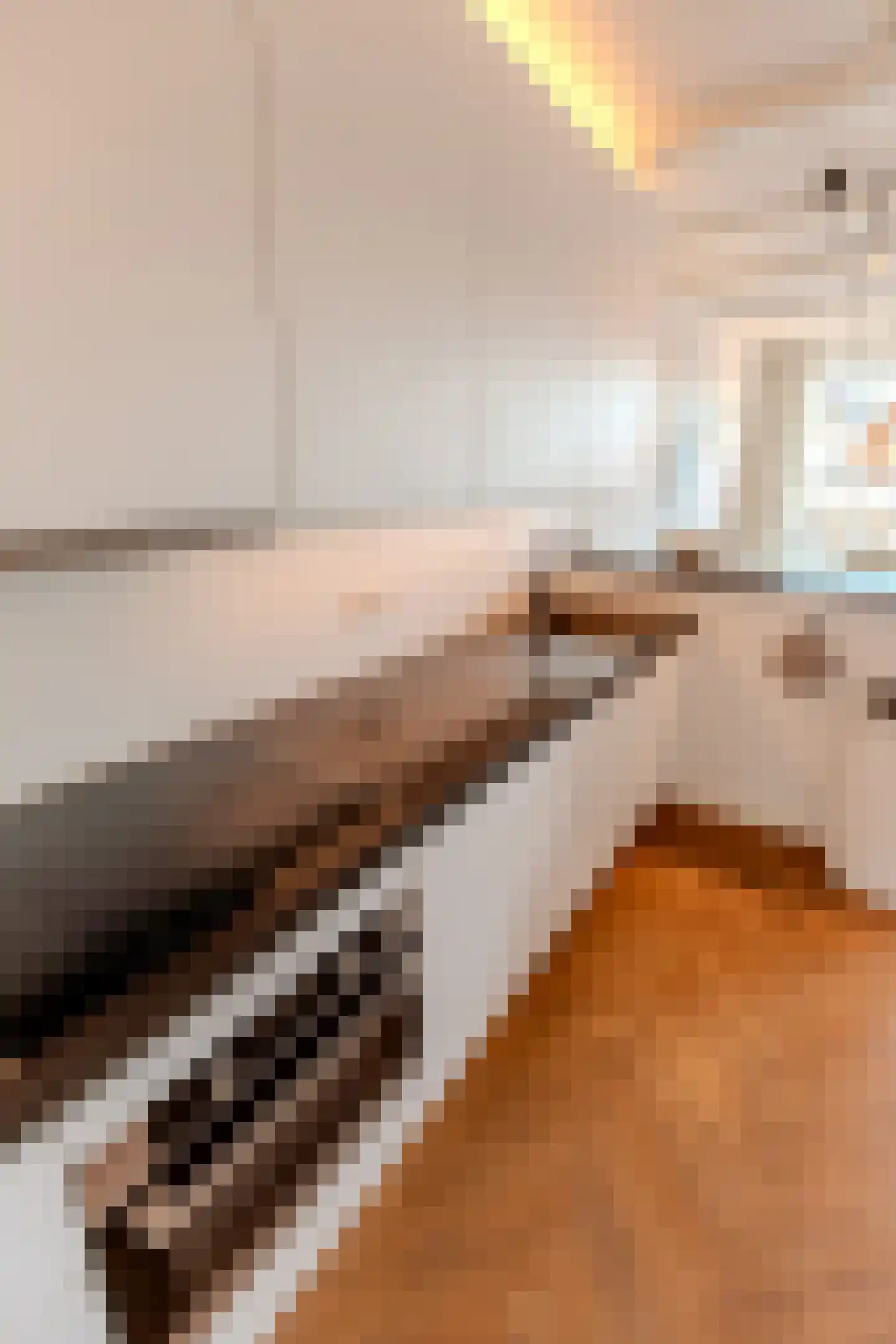 Herengracht 10 B Leiden thumbnail 15