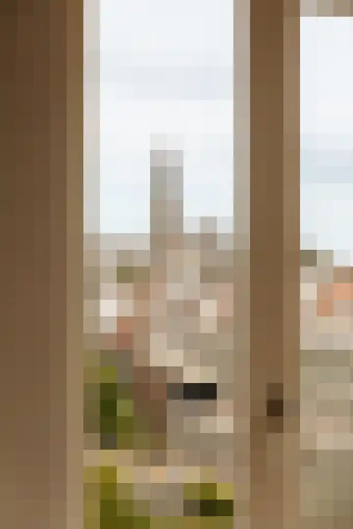 Herengracht 102 M Amsterdam thumbnail 5