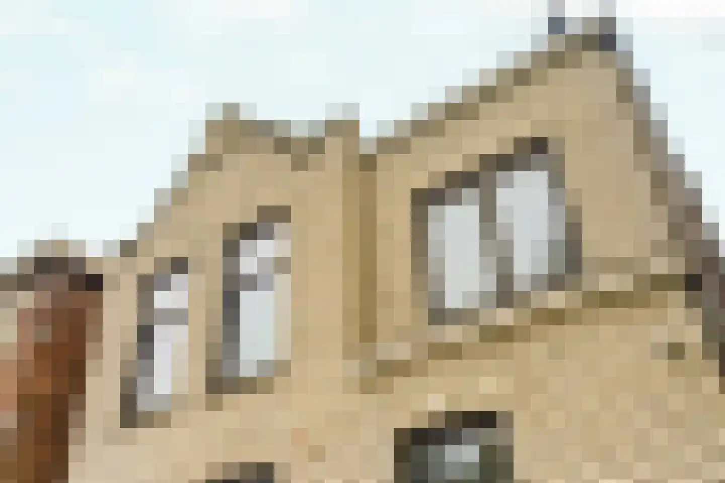 Herengracht 102 Zaandam thumbnail 53