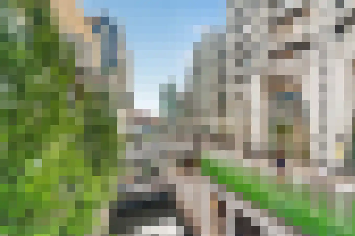 Herengracht 102 Zaandam thumbnail 60