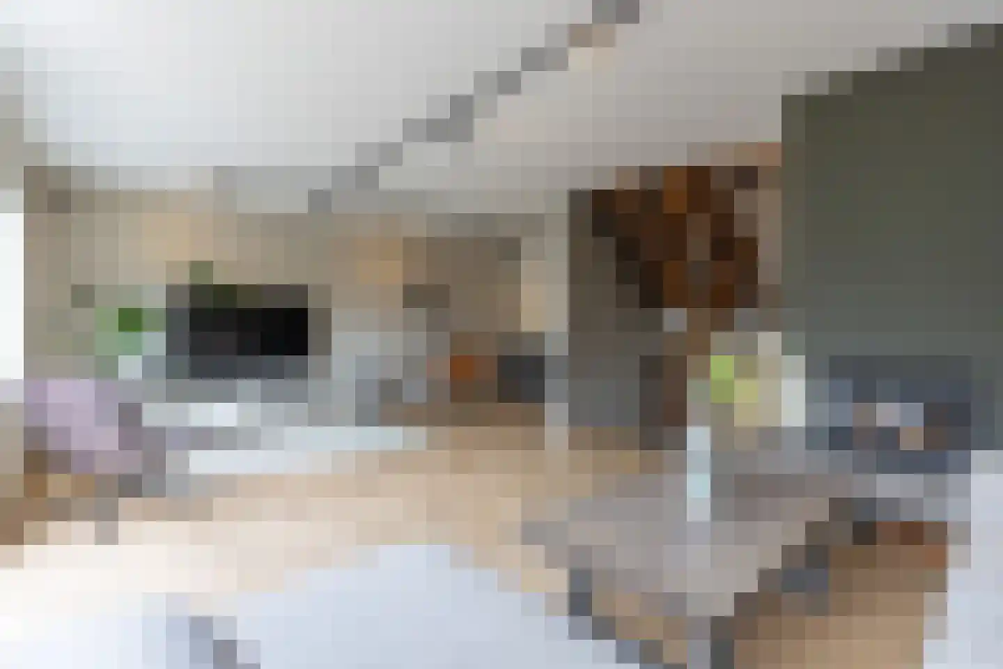 Herengracht 104 Muiden thumbnail 23