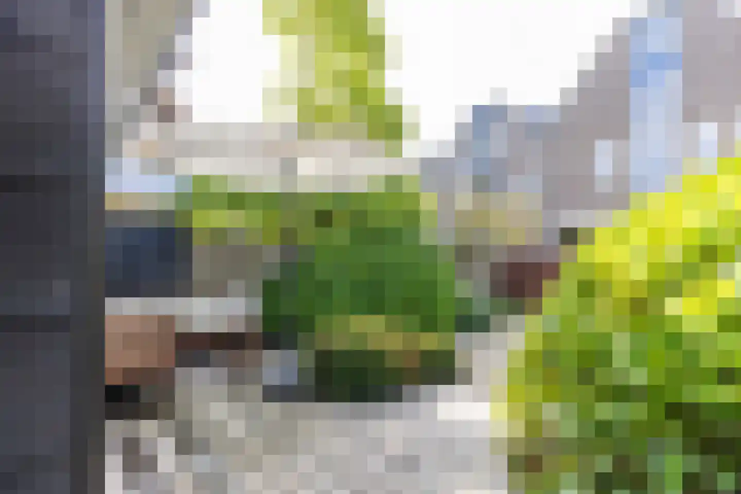 Herengracht 104 Muiden thumbnail 47