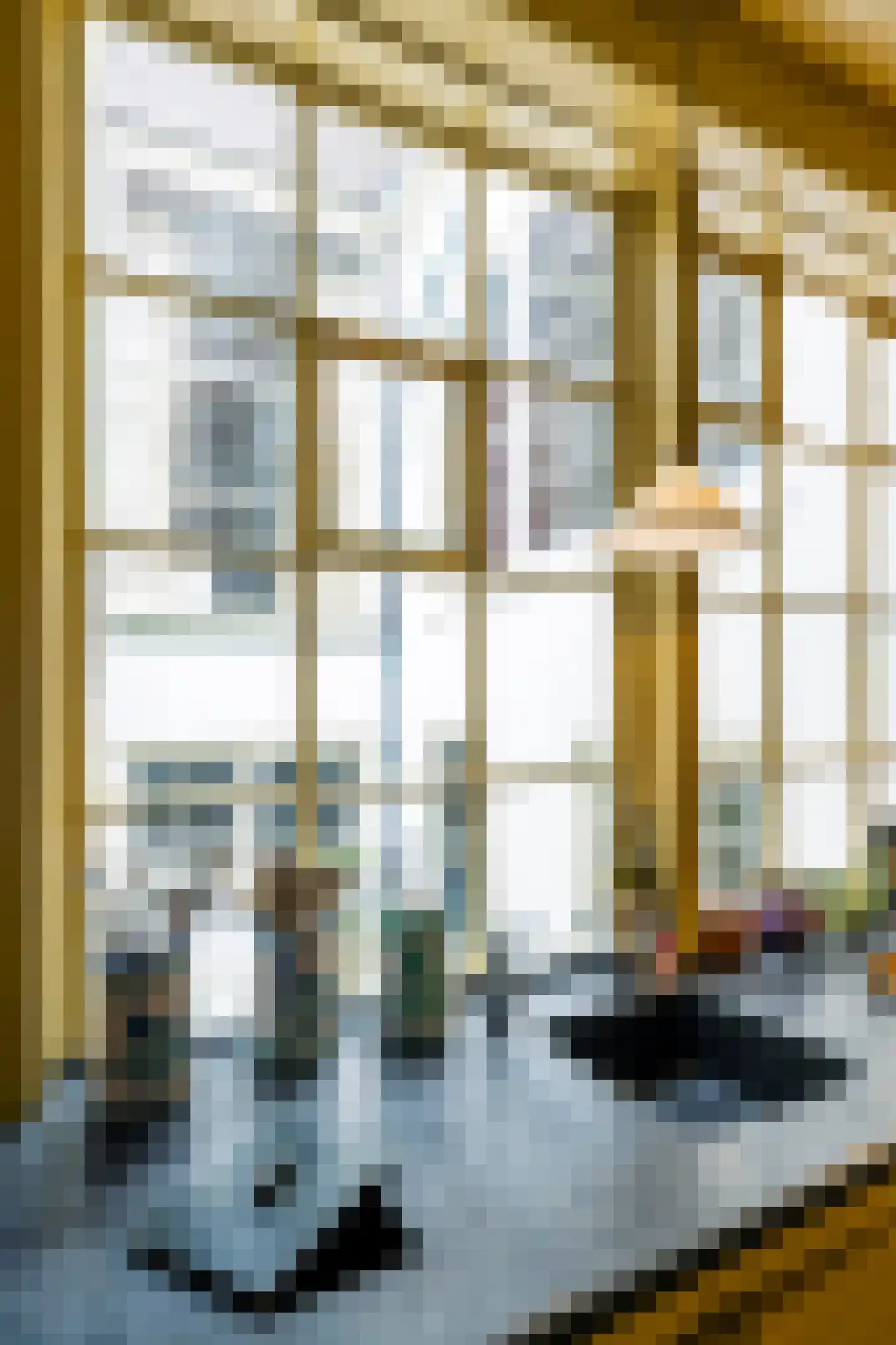 Herengracht 106 Amsterdam thumbnail 17