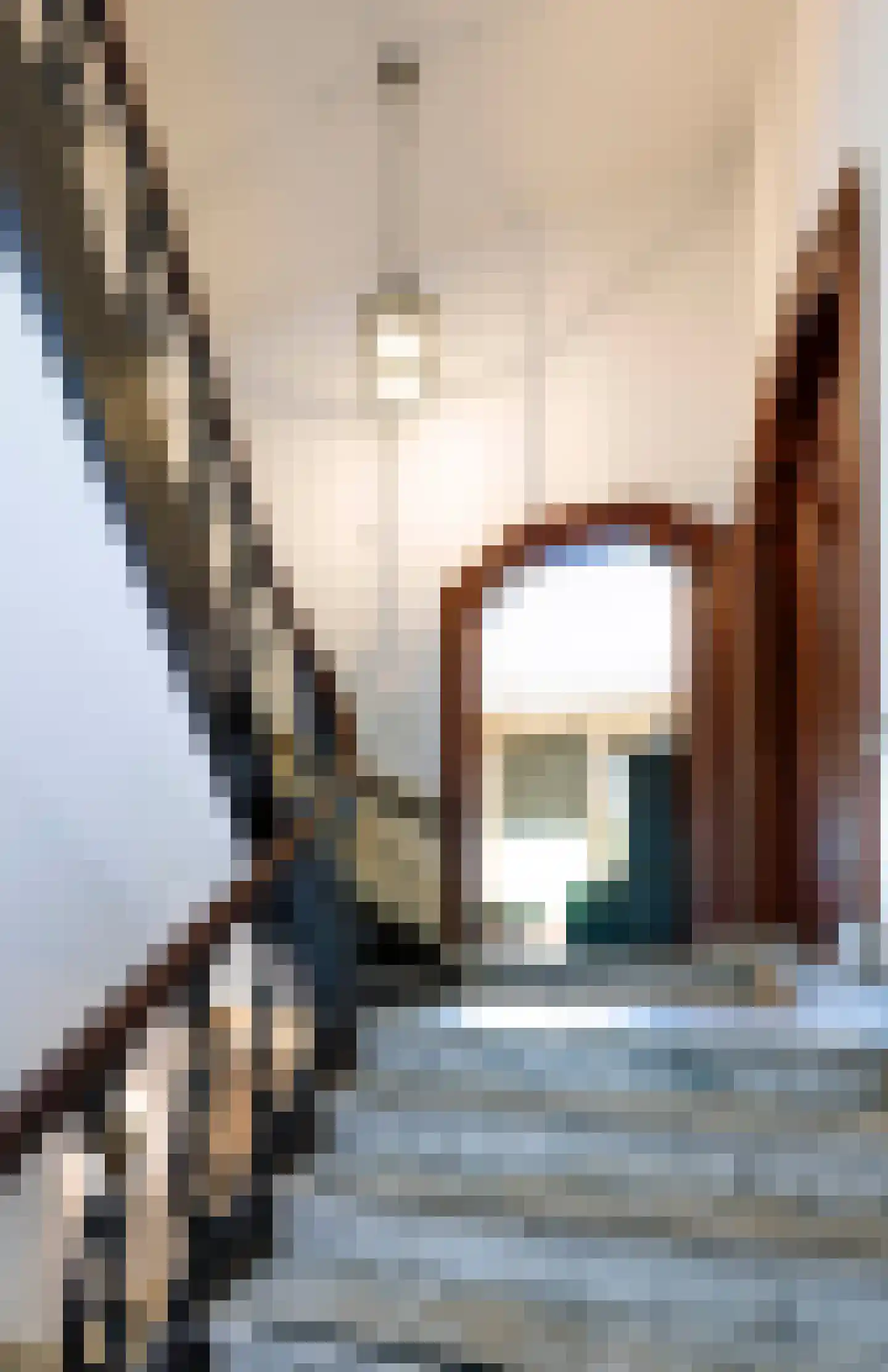 Herengracht 106 Amsterdam thumbnail 20