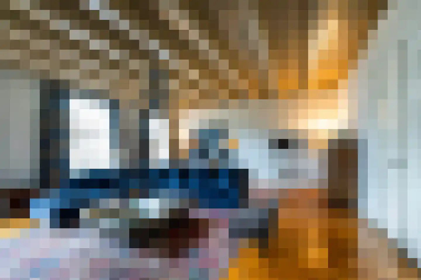 Herengracht 106 Amsterdam thumbnail 29