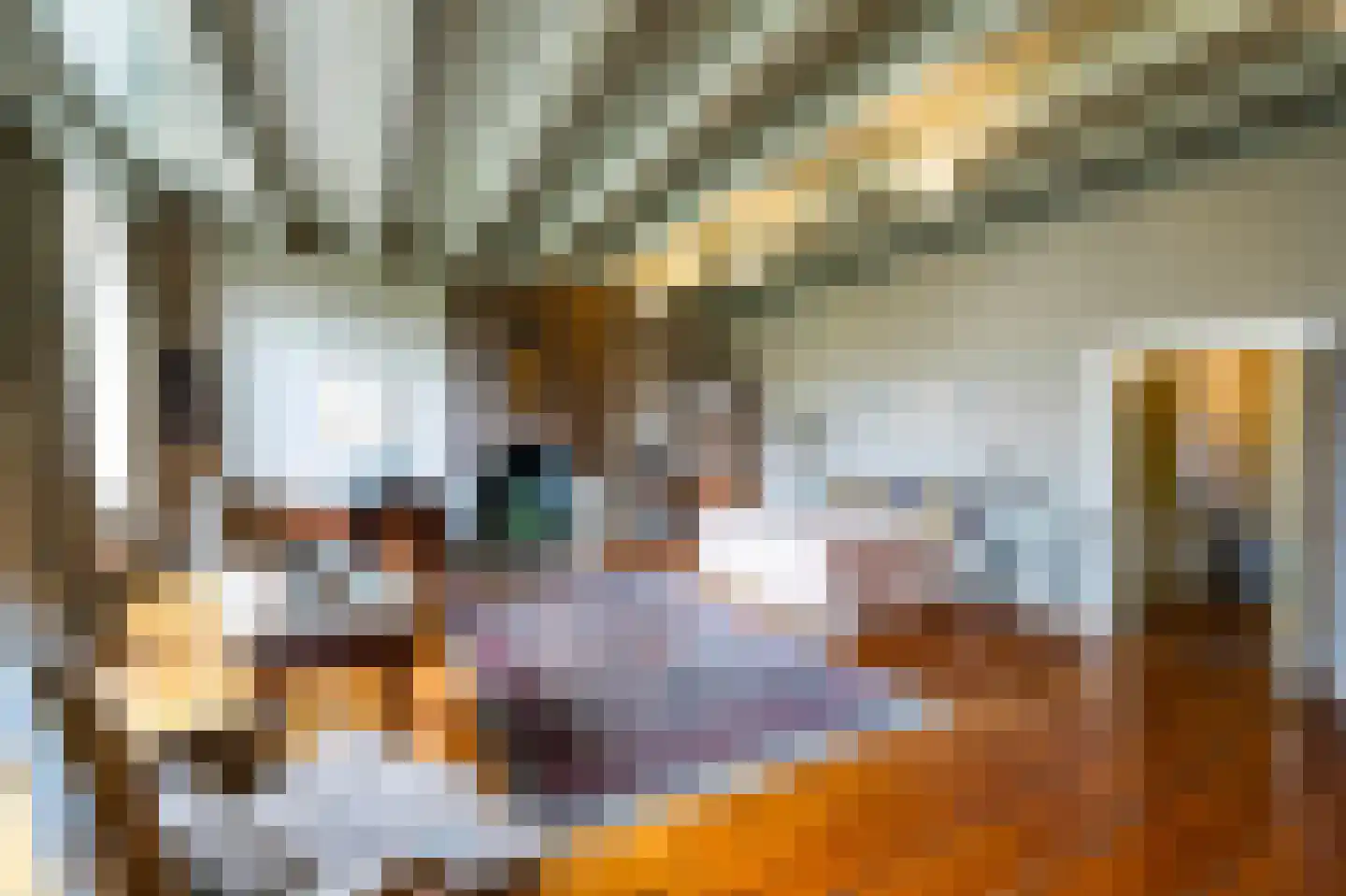 Herengracht 106 Amsterdam thumbnail 33