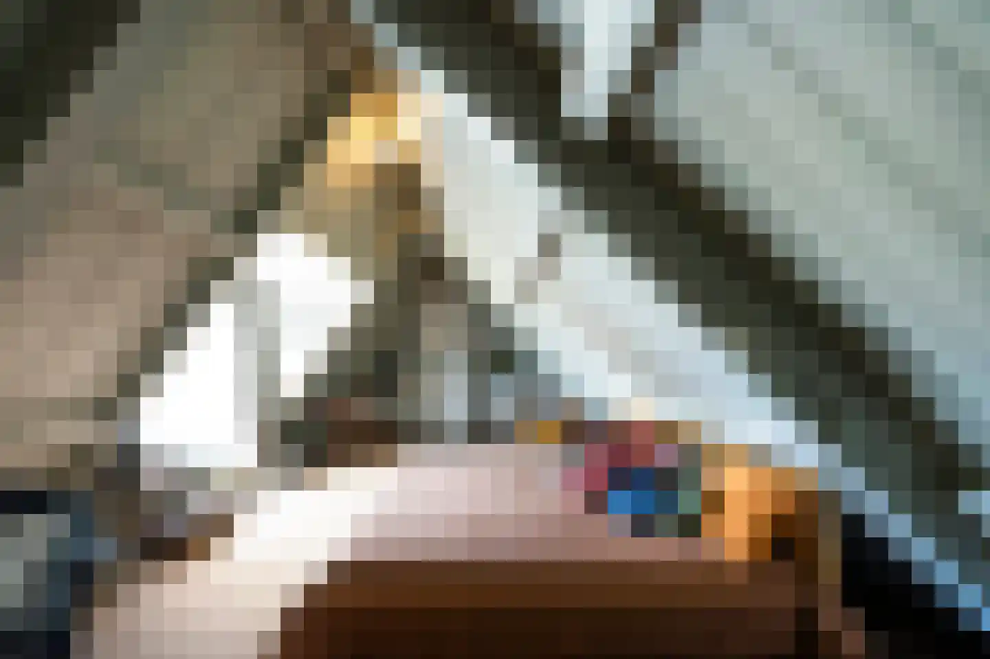 Herengracht 106 Amsterdam thumbnail 47