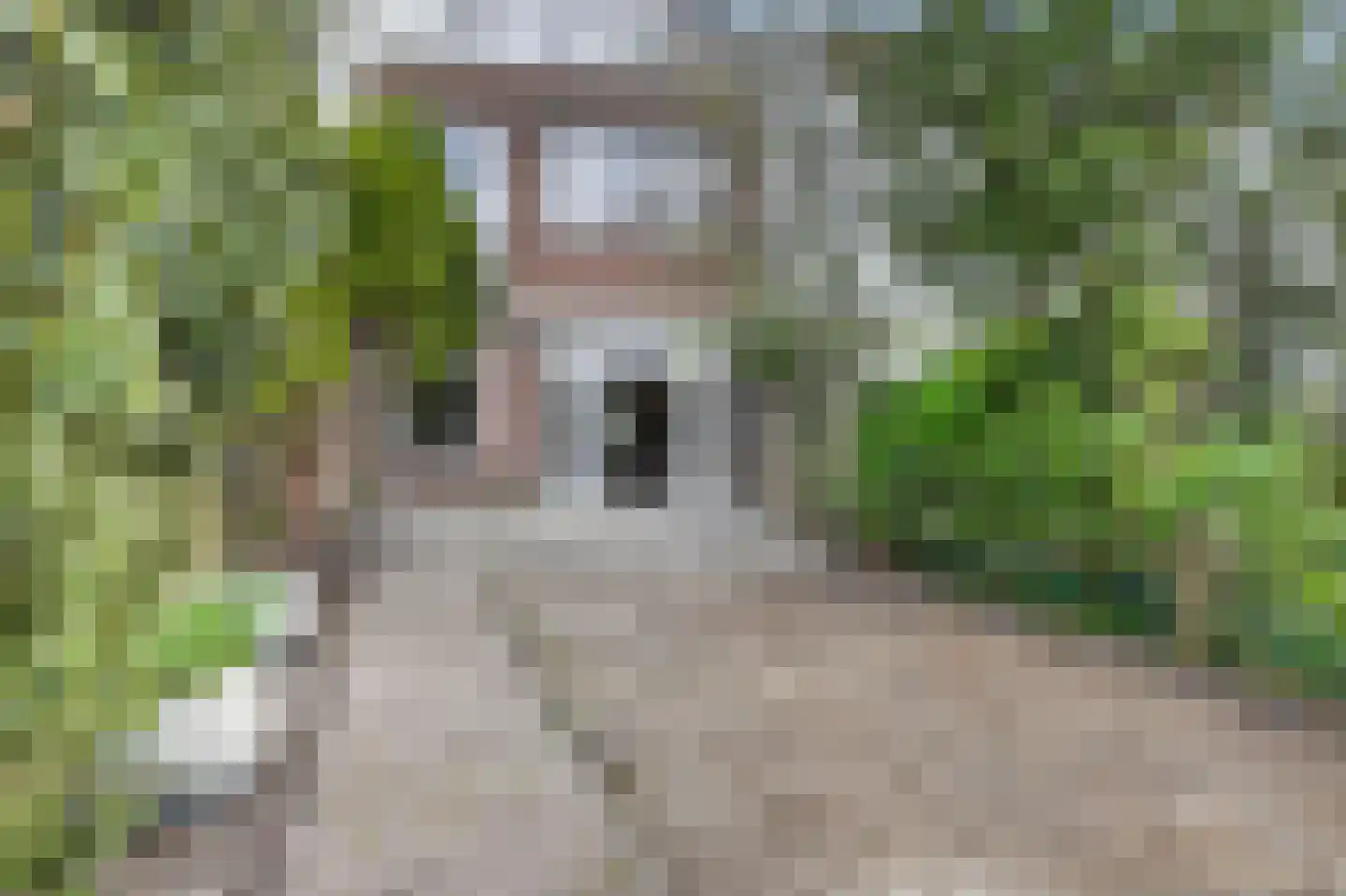 Herengracht 11 Purmerend thumbnail 22