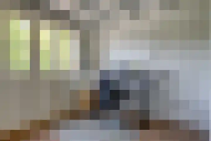 Herengracht 111 Zaandam thumbnail 22