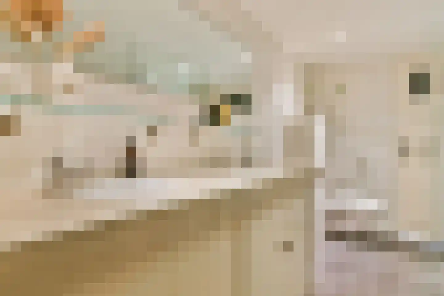 Herengracht 114 HV Amsterdam thumbnail 23