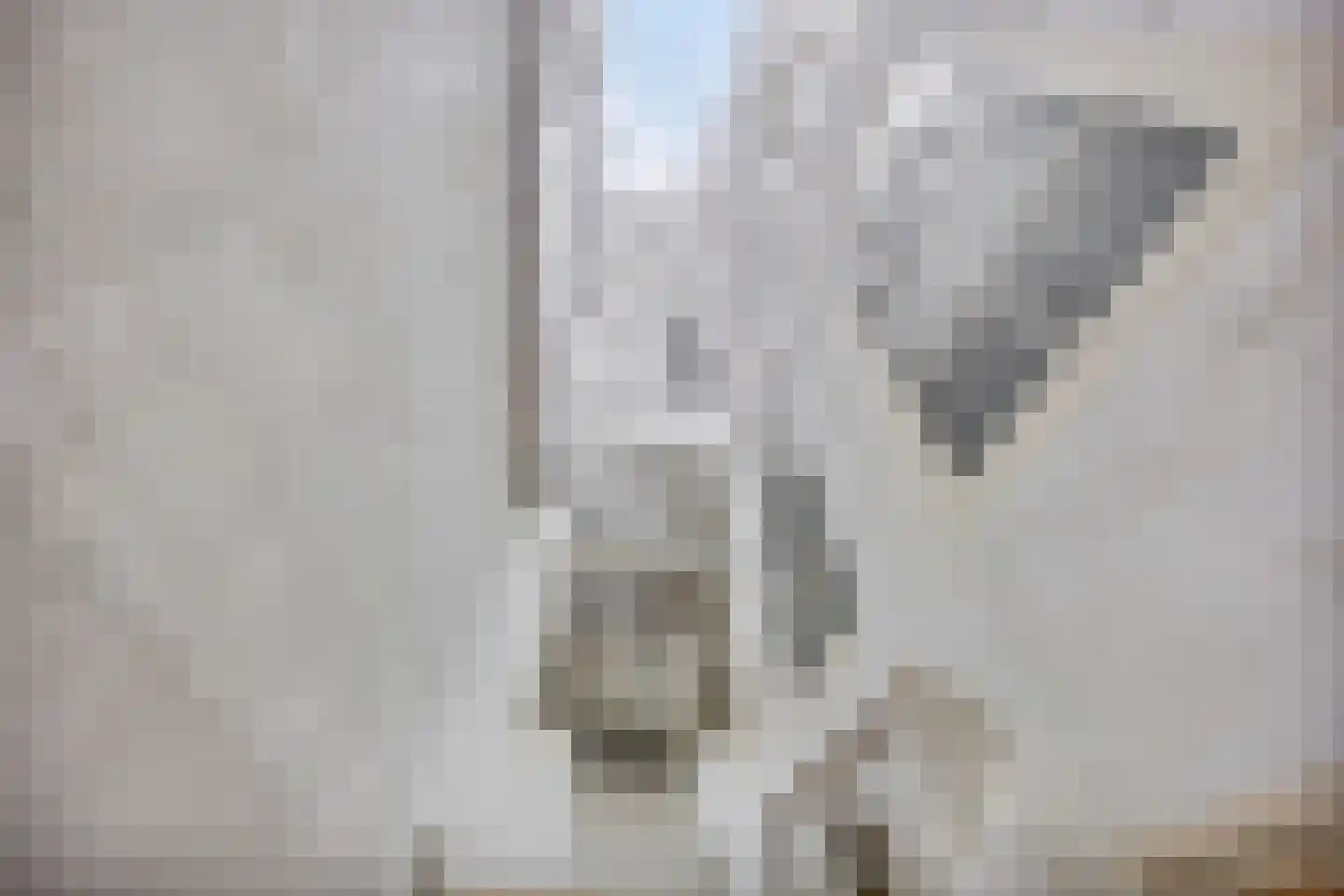 Herengracht 114 HV Amsterdam thumbnail 32