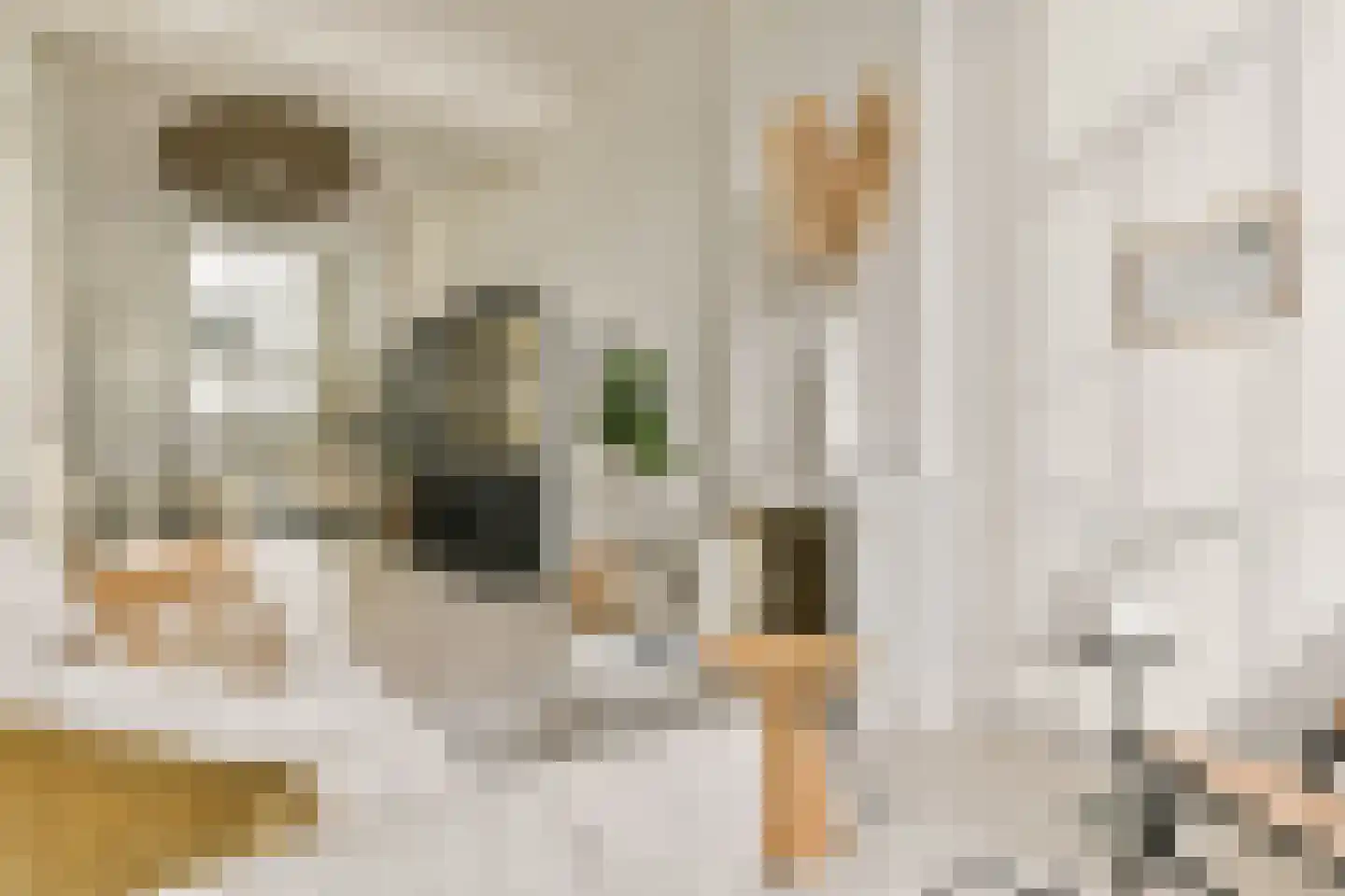 Herengracht 114 HV Amsterdam thumbnail 7