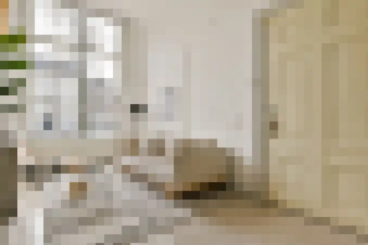 Herengracht 114 HV Amsterdam thumbnail 9