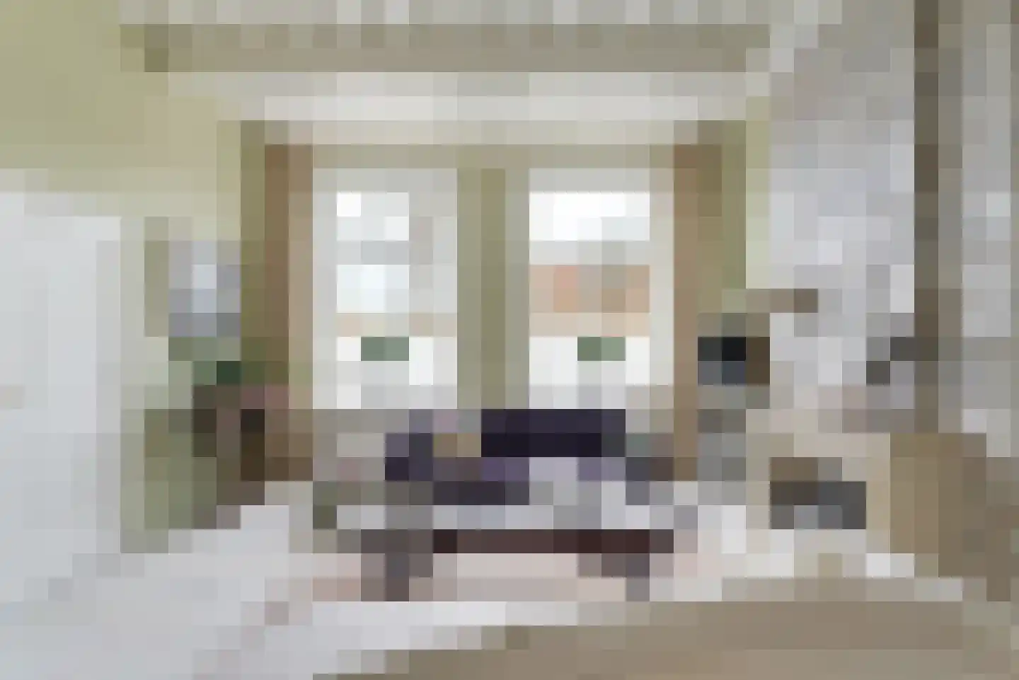Herengracht 114 Leiden thumbnail 6