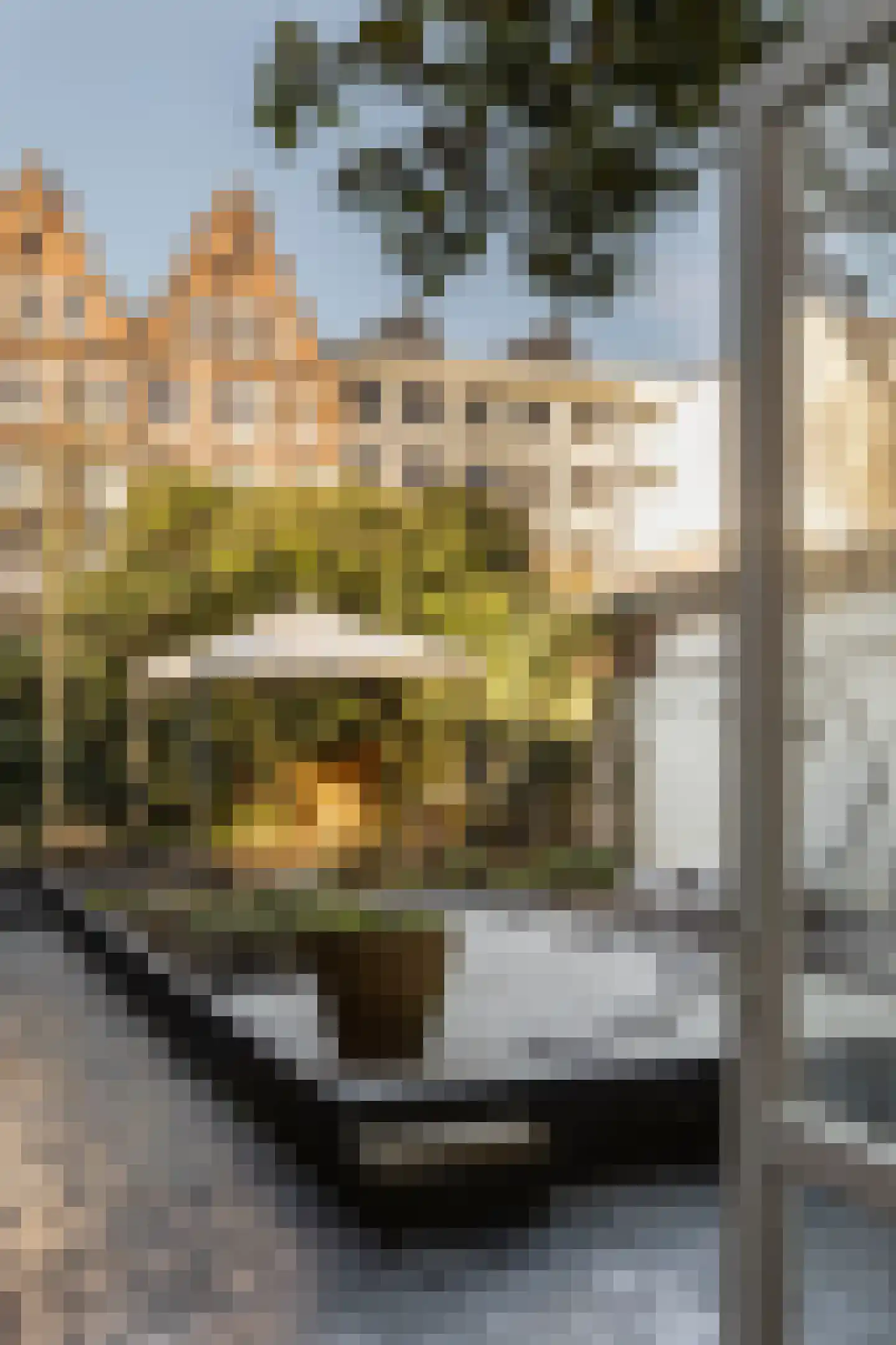 Herengracht 116 C Amsterdam thumbnail 13